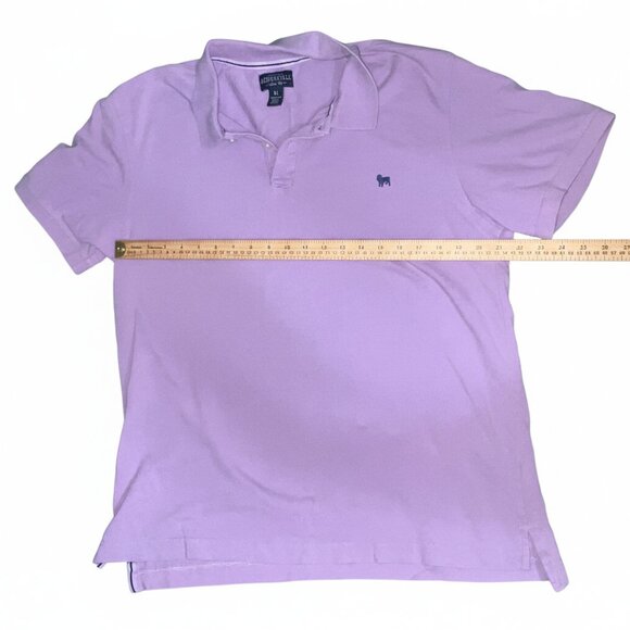 Aeropostale Lavender Slim Fit Short Sleeve Polo Shirt - Picture 3 of 8